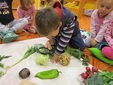 Ovoce a zelenina u Andílků